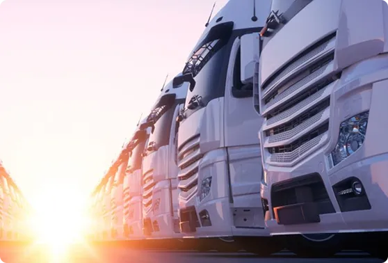 Row of parked trucks outside